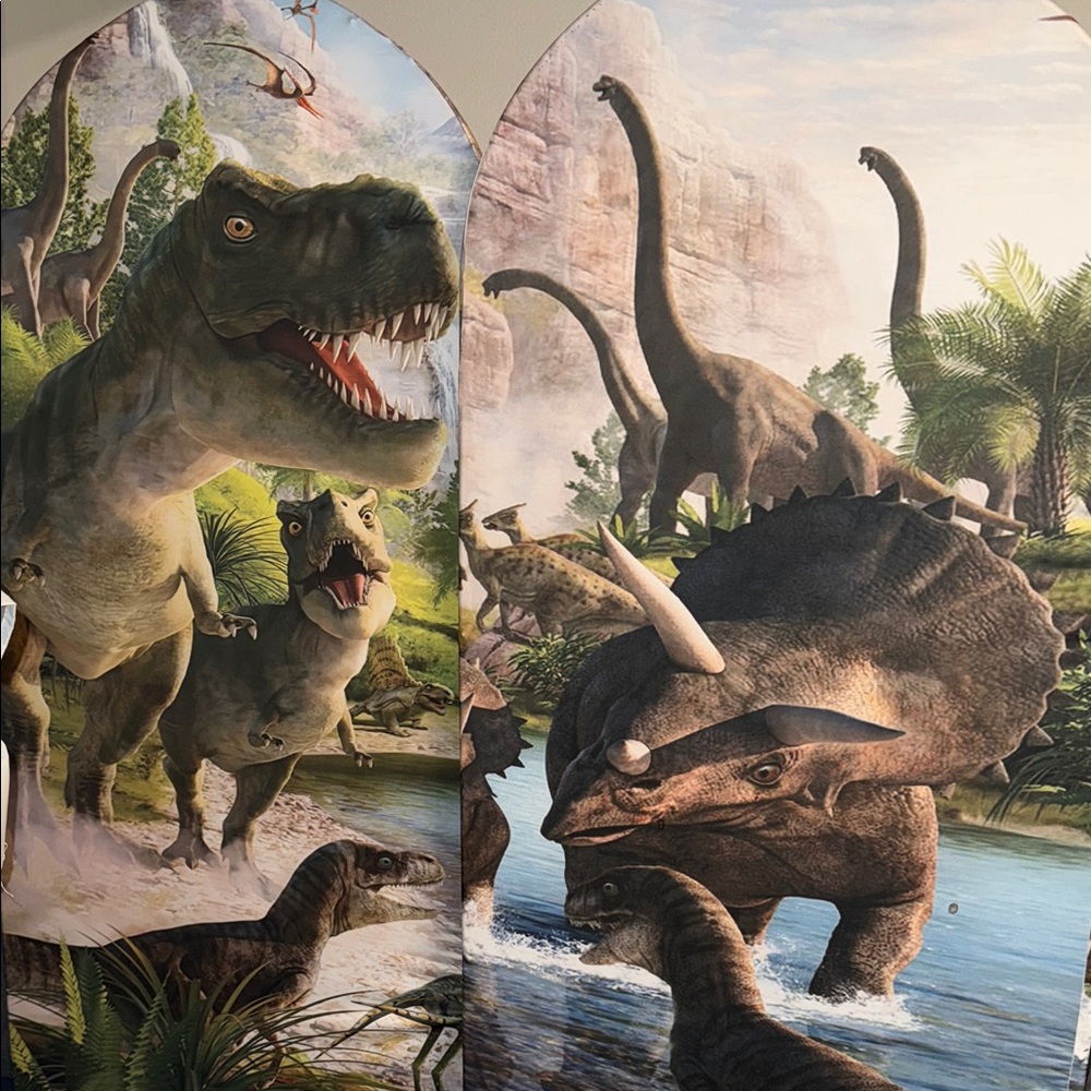 Dinosaur Themed Birthday Party Backdrop Cover (2) Double Sided